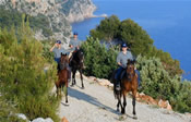 Dubrovnik horseback riding
