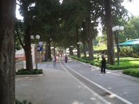 Lapad promenade in Dubrovnik