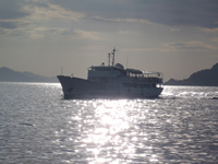 Postira - Ship line from Dubrovnik to Lopud