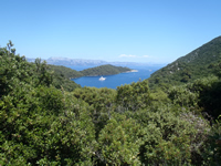 Mljet Island - bay view