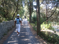 Mljet Island Hiking