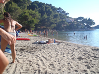 Saplunara beach on Mljet