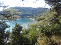 Mljet Saplunara